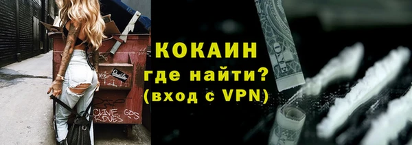 ешки Дмитриев