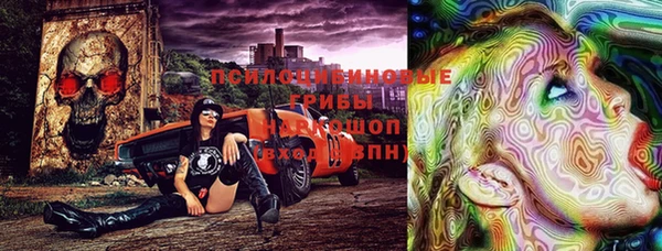 spice Дмитров