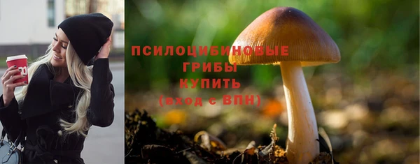 ешки Дмитриев
