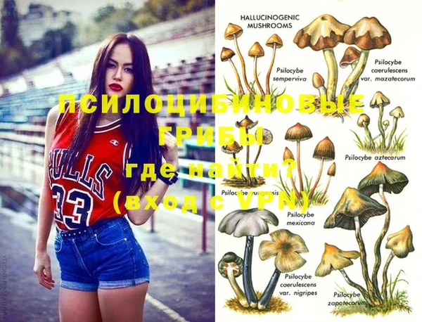 spice Дмитров
