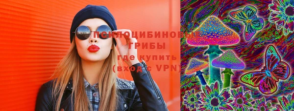 spice Дмитров