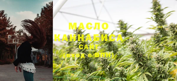 ешки Дмитриев