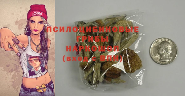 spice Дмитров