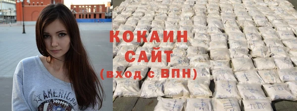 ешки Дмитриев