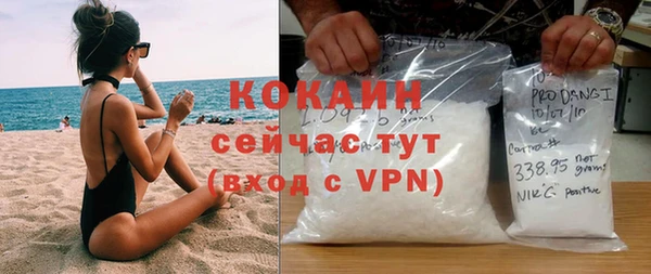 ешки Дмитриев