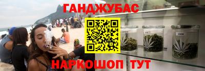 мдпв Кингисепп