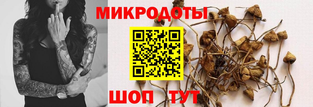 Галлюциногенные грибы Cubensis Нефтеюганск